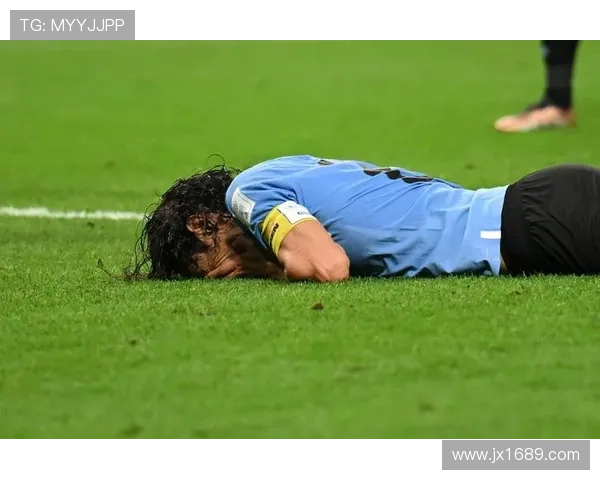 足球明星尹秀彬的传奇故事与职业生涯背后的奋斗与坚持